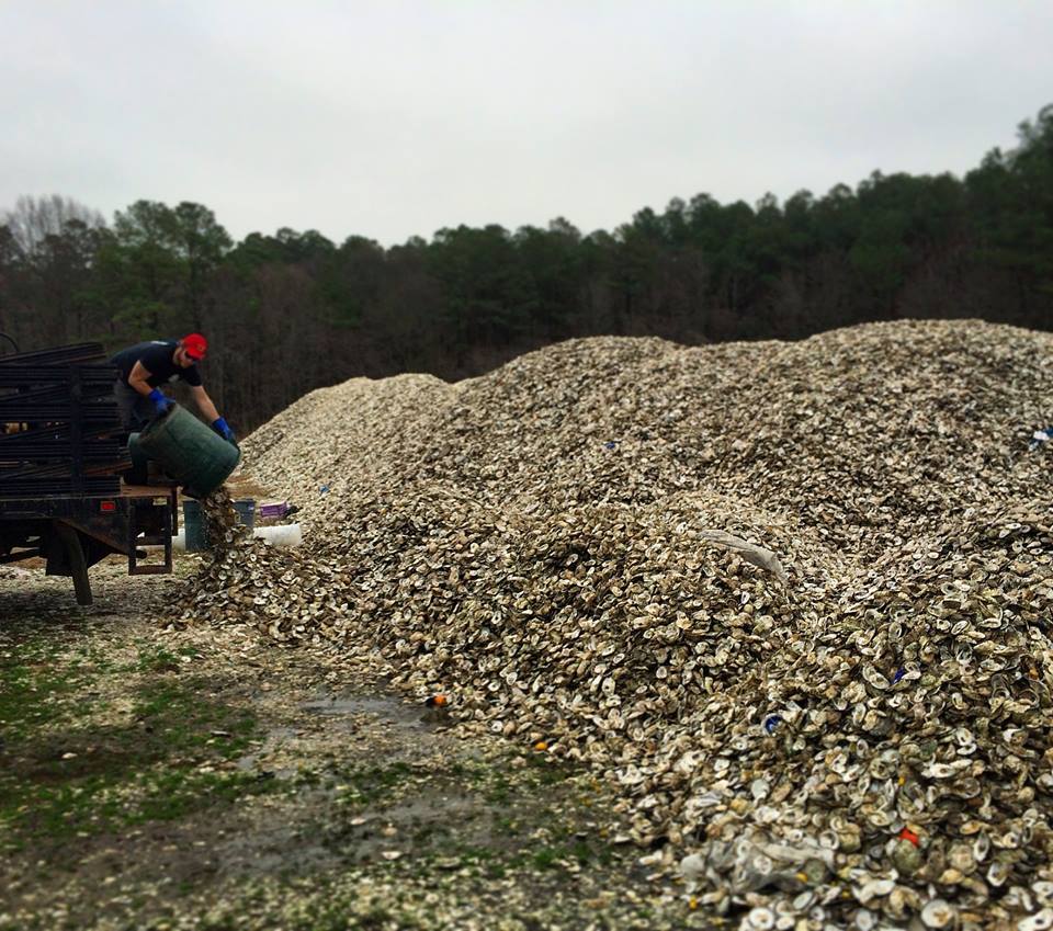 Oyster Recovery Partnership oyster shells