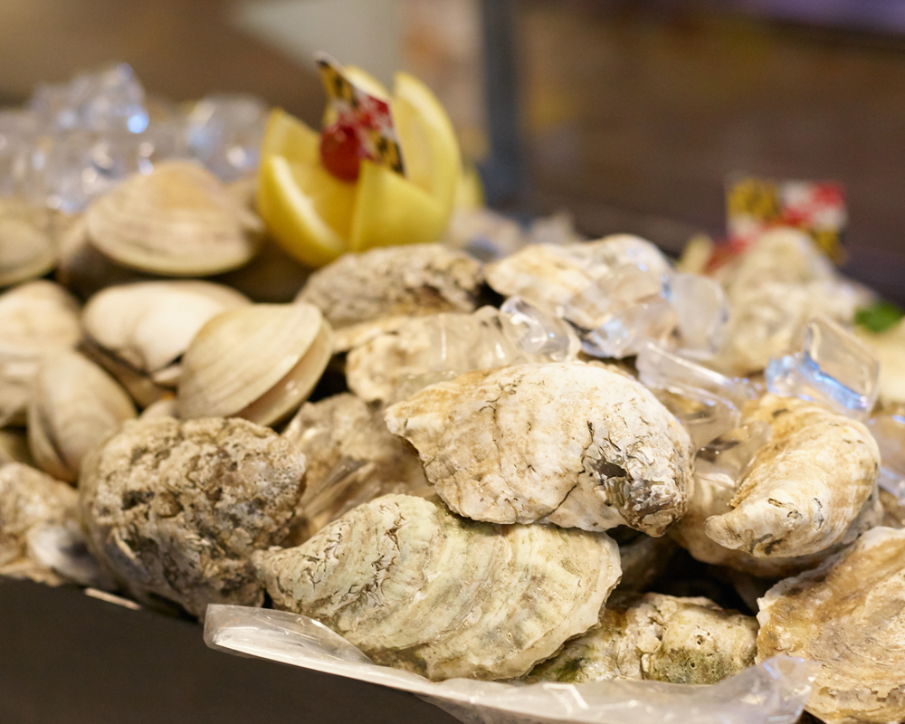 Oysters-unshucked
