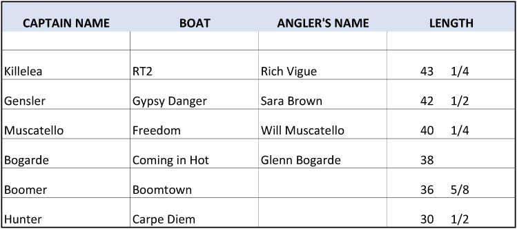 Boatyard Rockfish Tournament 2018 all fishes measured